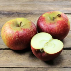 Apfel Ingrid Marie - Süß-säuerlich, einfach reif