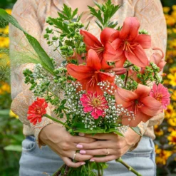 Asiatische Lilien und Blumenmischung - Feuerrote Blüten den ganzen Sommer