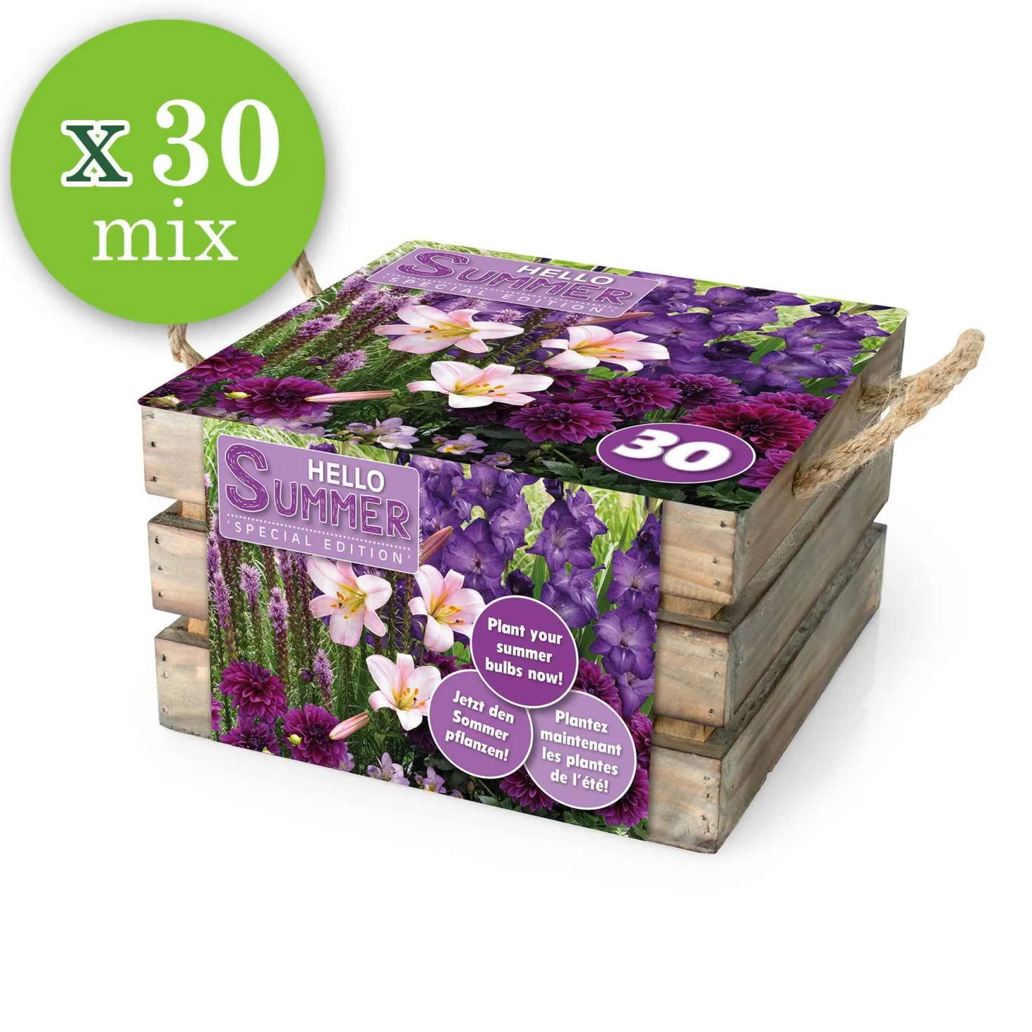 Blumenzwiebeln Mischung 'Hello Summer!' (x30) - Sommer voller Farben