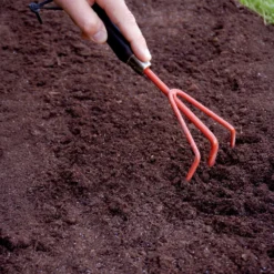 Duftende Blumenmischung - Bunte Blüten voller Duft