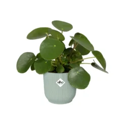 Elho Blumentopf Vibes fold rund sorbet grün - Sofort mehr Farbe zuhause