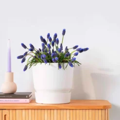 Elho Greenville-Blumentopf, rund, weiß - Pflanzgefäß Outdoor - Sofort schön bepflanzt