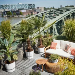 Elho Greenville-Blumentopf, rund, weiß - Pflanzgefäß Outdoor - Sofort schön bepflanzt
