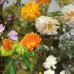 Essbare Blüten & Kräuter Mischung (2 m²) - Naschen direkt aus dem Beet