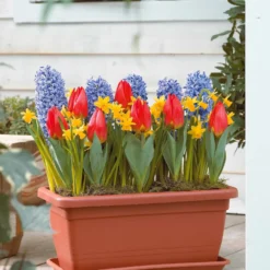 Frühlingsfenster-Kollektion - Frühlingsfarben am Fenster