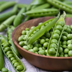 Gartenerbse Plein le panier - Volle Körbe voller Erbsen