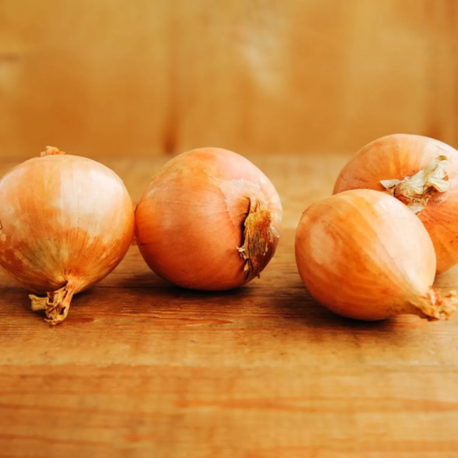 Gelbe Schalotte 'Golden Gourmet' - Milde Ernte im Sommer