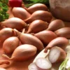 Griselle-Schalotten - Feiner Küchengeschmack