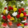 Großblumige, hängende Begonien Mischung - Blütenkaskade in Sekunden