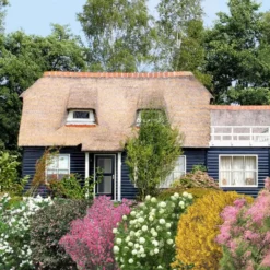 Hecken-Kollektion vier Jahreszeiten (6 Sträucher) - Blühende Kombi für lebendigen Garten