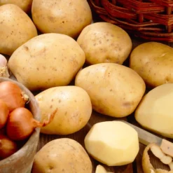Kartoffel Bintje - Ernte für perfekte Pommes