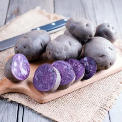 Kartoffel ‘Bleue d’Artois®’ (x10) - Blaues Fleisch, echter Hingucker