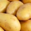 Kartoffel 'Goldmarie' (x25) - Goldgelb, cremig, einfach