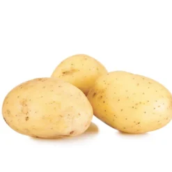 Kartoffel ‘Étincelle’ (x25) - Frühe Ernte ganz einfach