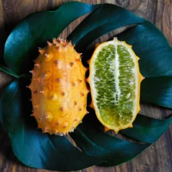 Kenia-Gurke (Metulon) - Exotisch ernten leicht gemacht