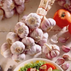 Knoblauch ‘Germidour’ - Milder Knoblauch, große Ernte