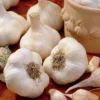 Knoblauch ‘Messidrôme’ - Ernte ganz ohne Mühe