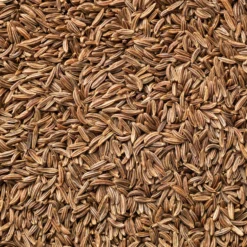 Kreuzkümmel - Warmes Aroma frisch geerntet