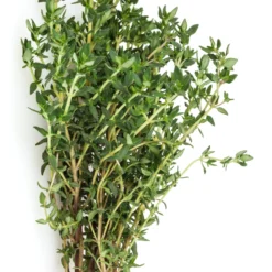 Kräuterpflanzen-Kollektion Basilikum, Schnittlauch, Petersilie, Thymian (x4) - Duftende Mischung für frische Gerichte