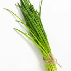 Kräuterpflanzen-Kollektion Basilikum, Schnittlauch, Petersilie, Thymian (x4) - Duftende Mischung für frische Gerichte