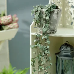 Leuchterblume - Grüner Vorhang aus Herzen