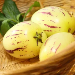 Melonenbirne - Exotische Ernte ganz einfach