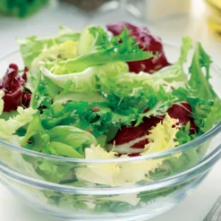 Mesclun-Salatmischung - Frischer Salat ohne Warten