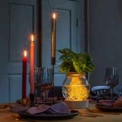 Monstera im Kugelglas mit LED-Beleuchtung - Hydroponik - Grafisches Blatt, tropisch