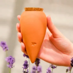 Olla – Terrakotta - Gießen fast ohne Aufwand