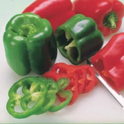 Paprika Lamuyo F1 - Große Paprika, süßes Aroma