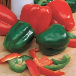 Paprika Lamuyo F1 - Große Paprika, süßes Aroma
