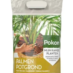 Pokon Palmenerde - Palmen sofort umtopfen