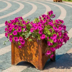 Rosa Hängepetunie - Sofort blühende Kaskaden