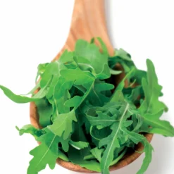 Rucola - Ernte in nur 4 Wochen