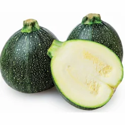 Runde Zucchini ‘De Nice’ - Runde Ernte, voller Geschmack
