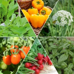 Saatgut-Kollektion für Hochbeet - Vielfältiges Gemüse, einfach zu ernten