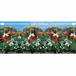 Saatteppich für Blumenrabatten - Blütenmeer ohne Mühe