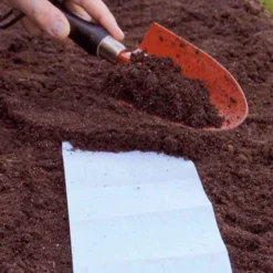 Saatteppich „Sonnenbeet“ (x5) - Sonniges Blütenmeer
