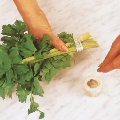 Schnittsellerie - Frisches Aroma zum Ernten