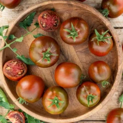 Schwarze Fleischtomate 'Noire Russe' - Dunkle Ernte voller Aroma