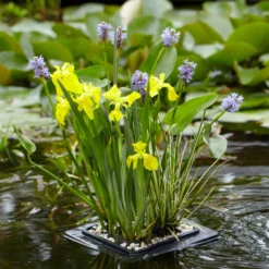 Schwimmring - Sofort Halt im Wasser