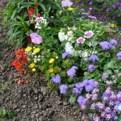 Spezieller Blumenteppich für Blumenkästen - Blütenmeer im Handumdrehen