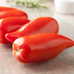 Tomate ‘Cornue des Andes’ - Fleischig, süß, kernarm