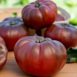 Tomate ‘Noire de Crimée’ - Süß, saftig, tiefdunkel
