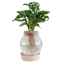 Vase mit beleuchtetem Holzständer - Licht und Deko in einem