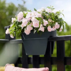 Vibia Campana Flower Bridge Anthrazit ELHO - Sofort schön bepflanzt