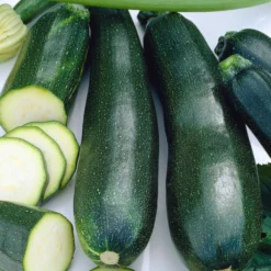 Zucchini Black Beauty - Ernte den ganzen Sommer